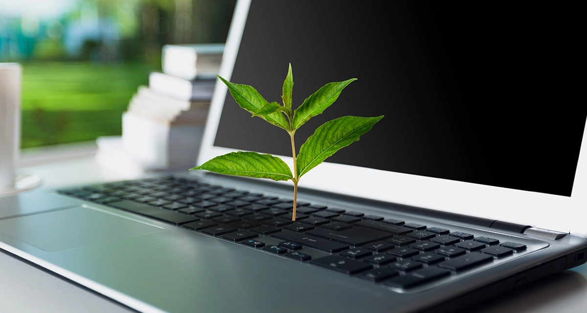 Close up of a laptop with a small plant growing out of the keys
