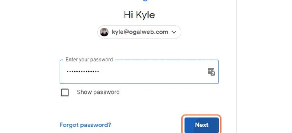 Screenshot of the Google password screen with the 
