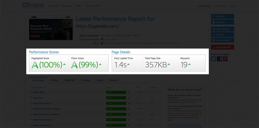 Performance Scores and Page Details