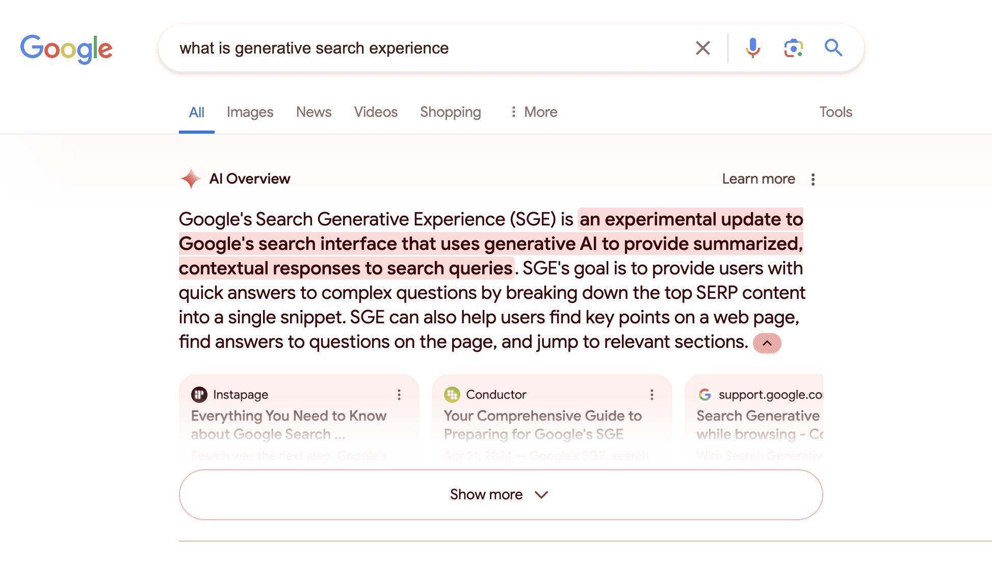 A screenshot of the Generative Search Experience 